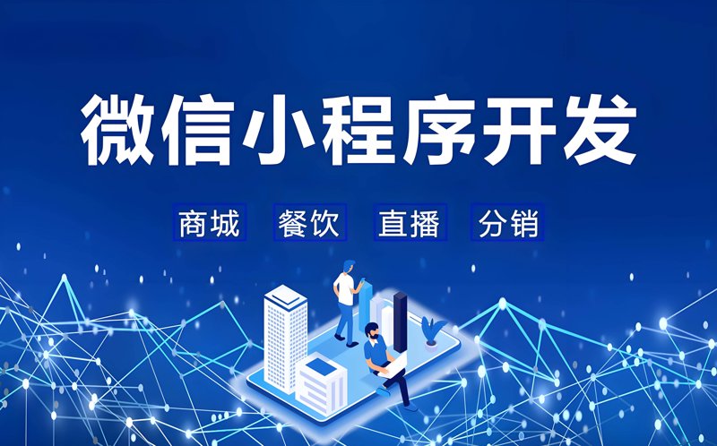 合肥网站建设:选择本地服务商还是全国平台?